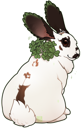 Custom Rabbit Custom Rabbit