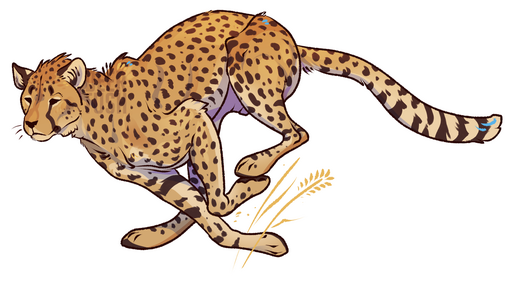 Cheetah Cheetah